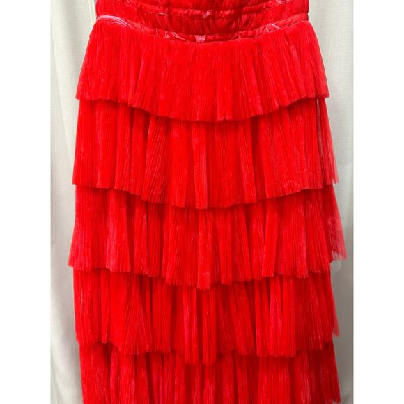 Hutch Evi Strapless Plissé Gown Red Romantic Floral Size 14 W Plus NWT Gorgeous - Picture 6 of 12